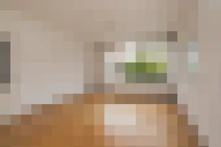 Salvialaan 15 Oegstgeest thumbnail 9