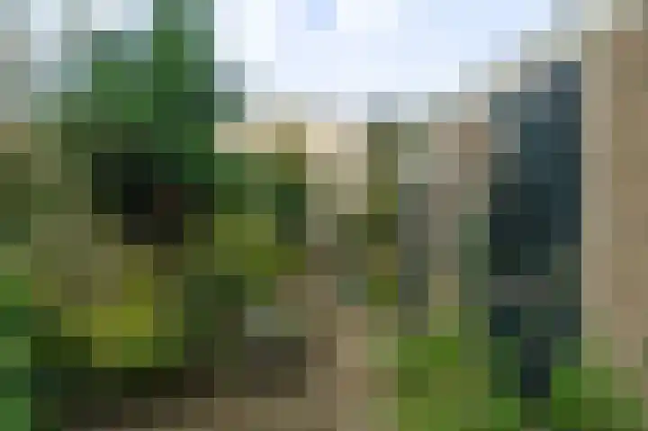 Salvialaan 19 Oegstgeest thumbnail 10