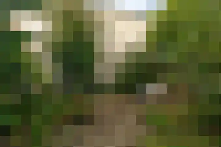 Salvialaan 19 Oegstgeest thumbnail 11