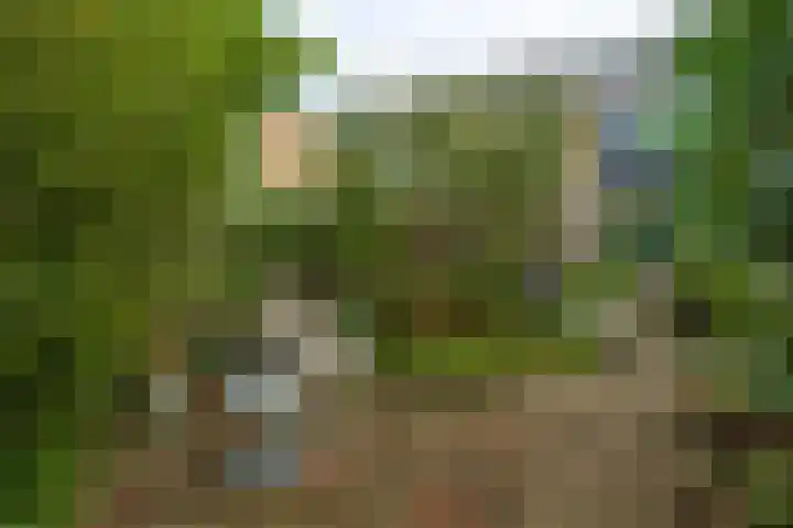 Salvialaan 19 Oegstgeest thumbnail 12