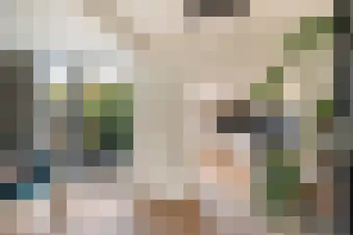 Salvialaan 19 Oegstgeest thumbnail 21