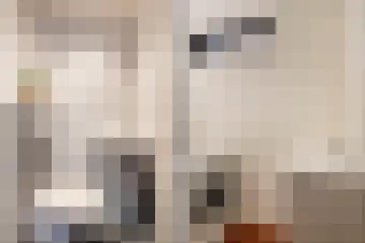 Salvialaan 19 Oegstgeest thumbnail 25