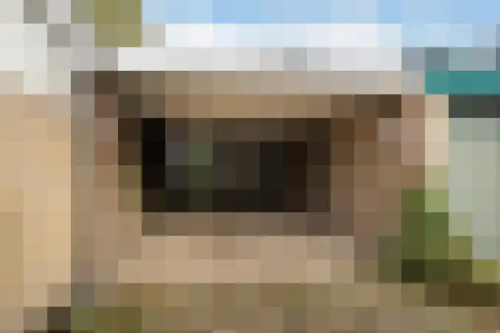 Salvialaan 19 Oegstgeest thumbnail 38