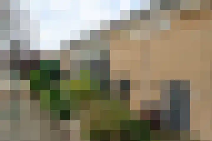 Salvialaan 19 Oegstgeest thumbnail 6