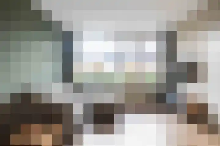 Salvialaan 4 Winsum thumbnail 19