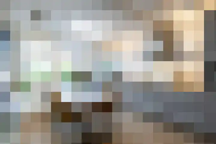 Salvialaan 4 Winsum thumbnail 21