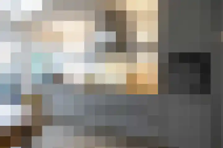 Salvialaan 4 Winsum thumbnail 23