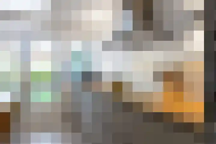 Salvialaan 4 Winsum thumbnail 24