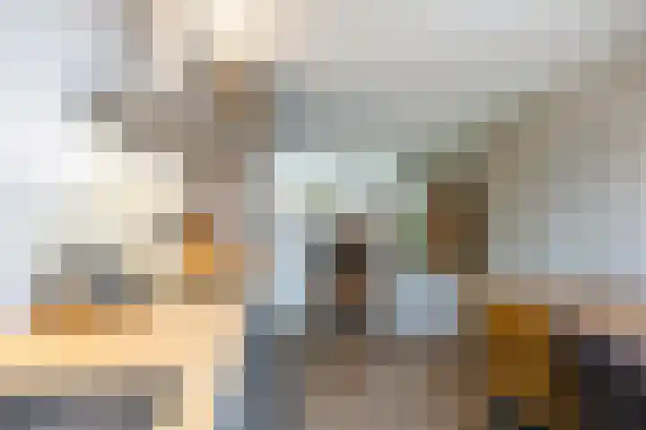 Salvialaan 4 Winsum thumbnail 25