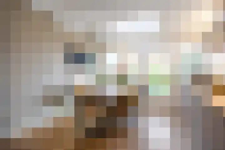 Salvialaan 4 Winsum thumbnail 26