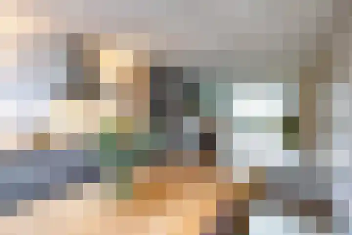 Salvialaan 4 Winsum thumbnail 27
