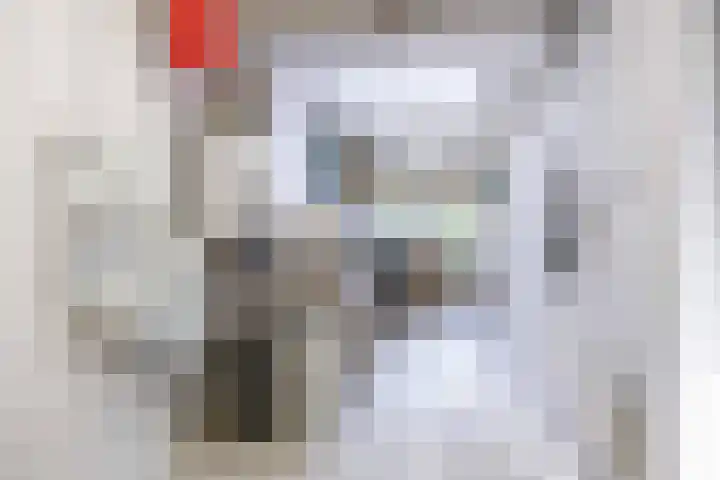 Salvialaan 4 Winsum thumbnail 30