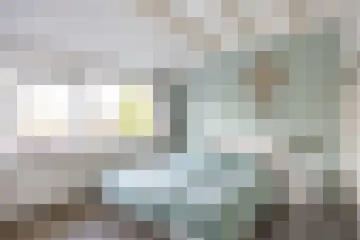 Salvialaan 4 Winsum thumbnail 34