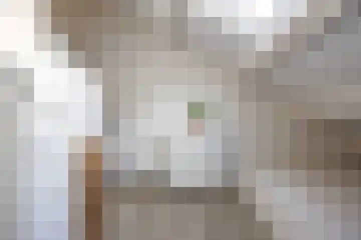 Salvialaan 4 Winsum thumbnail 37