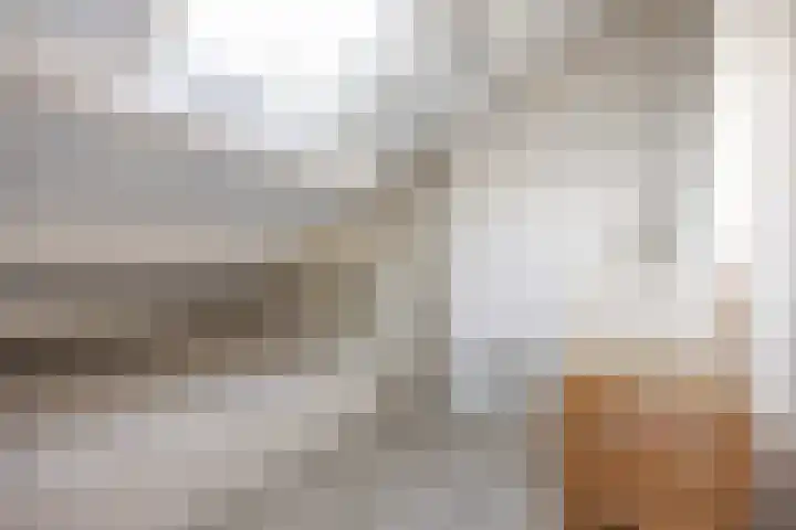 Salvialaan 4 Winsum thumbnail 38