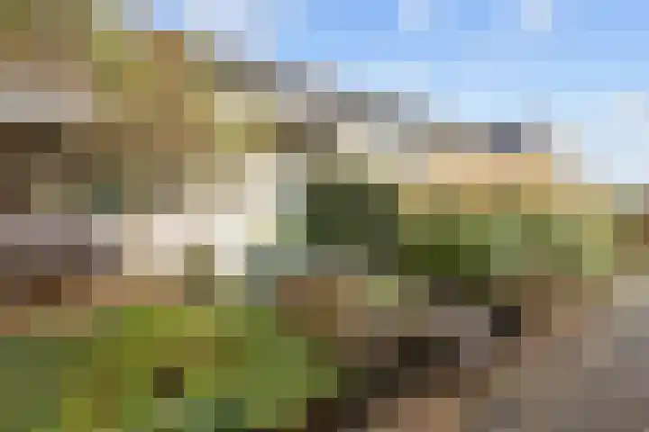 Salvialaan 4 Winsum thumbnail 4