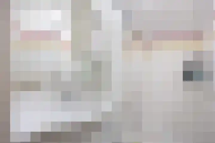 Salvialaan 4 Winsum thumbnail 42