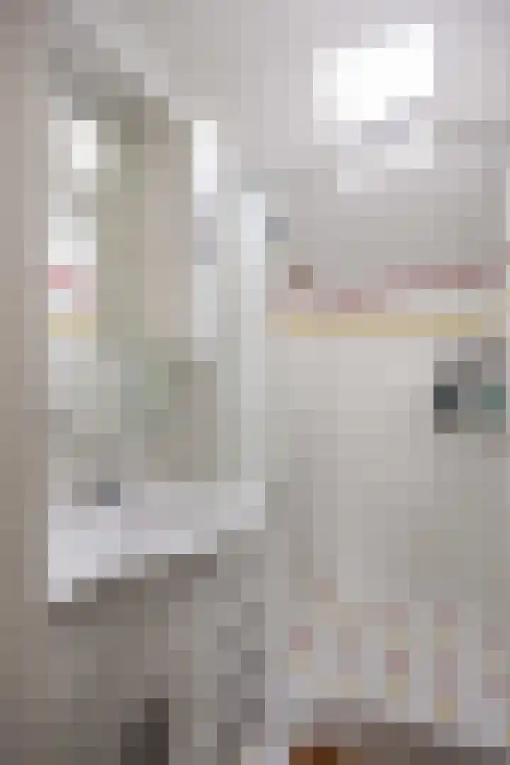 Salvialaan 4 Winsum thumbnail 43