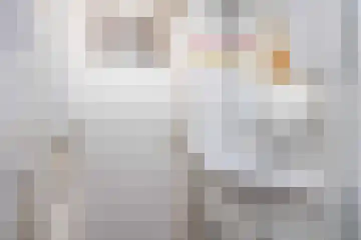 Salvialaan 4 Winsum thumbnail 45