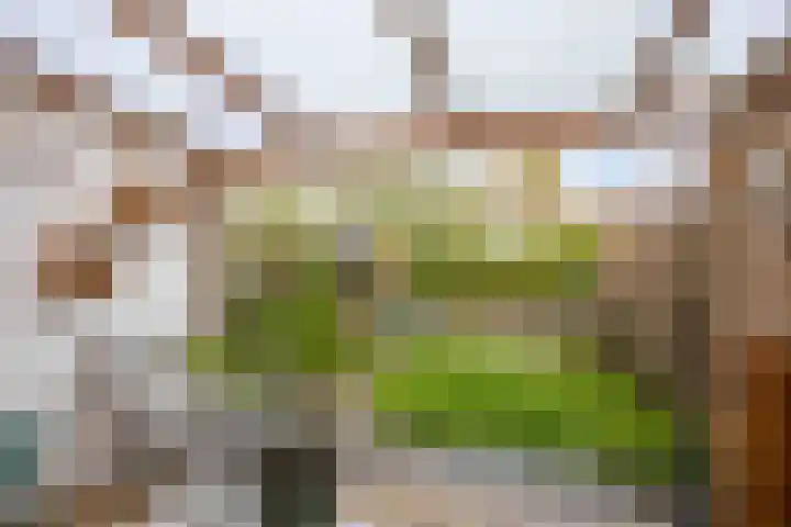 Salvialaan 4 Winsum thumbnail 46