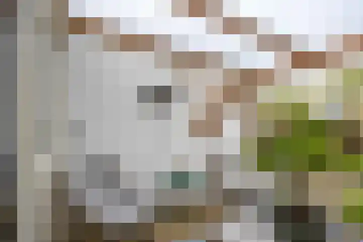 Salvialaan 4 Winsum thumbnail 47