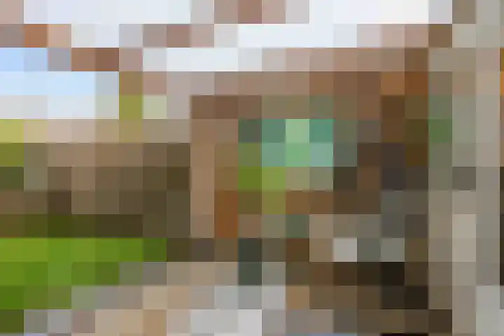 Salvialaan 4 Winsum thumbnail 48