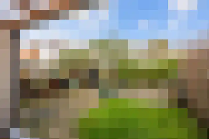 Salvialaan 4 Winsum thumbnail 49