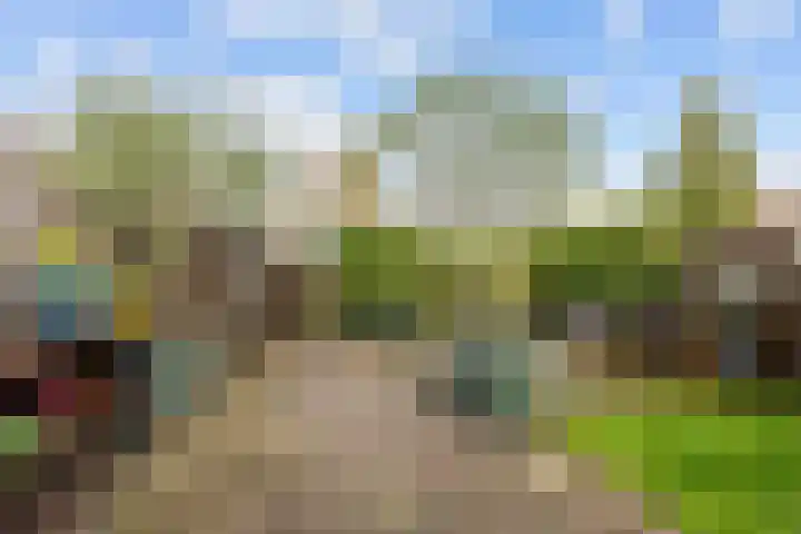 Salvialaan 4 Winsum thumbnail 51