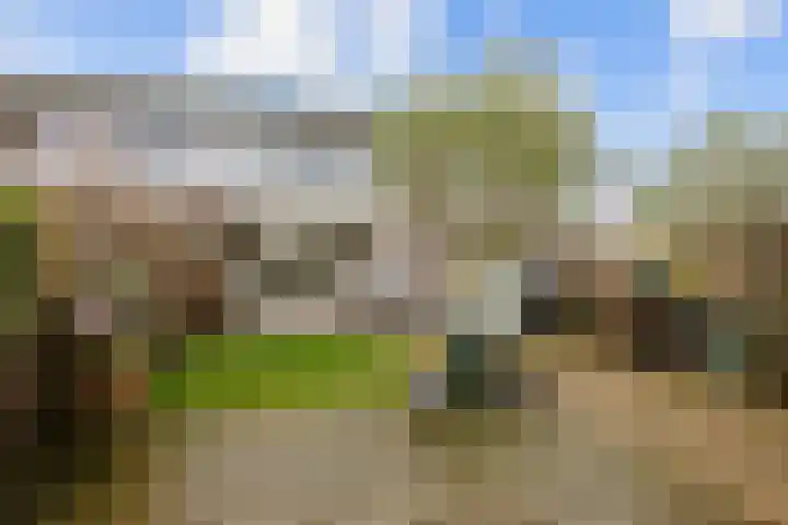 Salvialaan 4 Winsum thumbnail 52