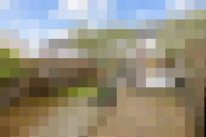 Salvialaan 4 Winsum thumbnail 53