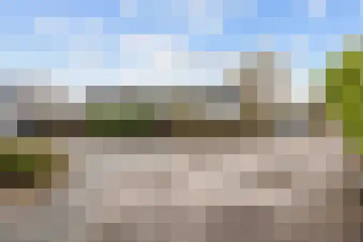 Salvialaan 4 Winsum thumbnail 57