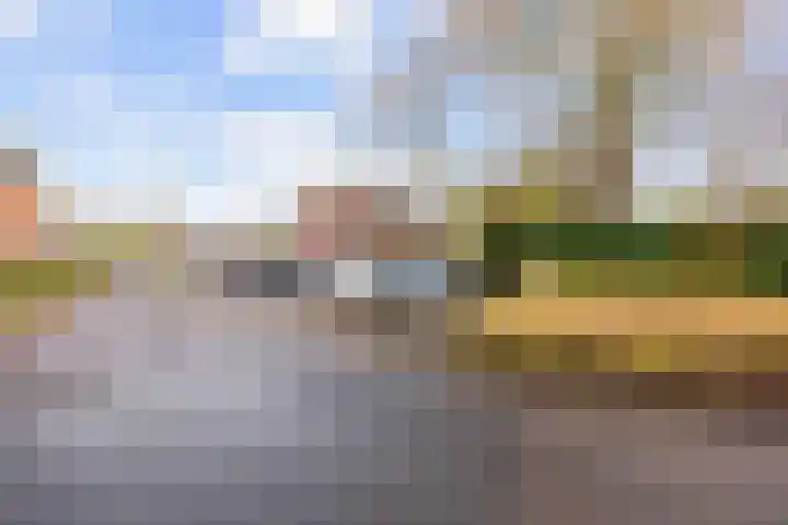 Salvialaan 4 Winsum thumbnail 6