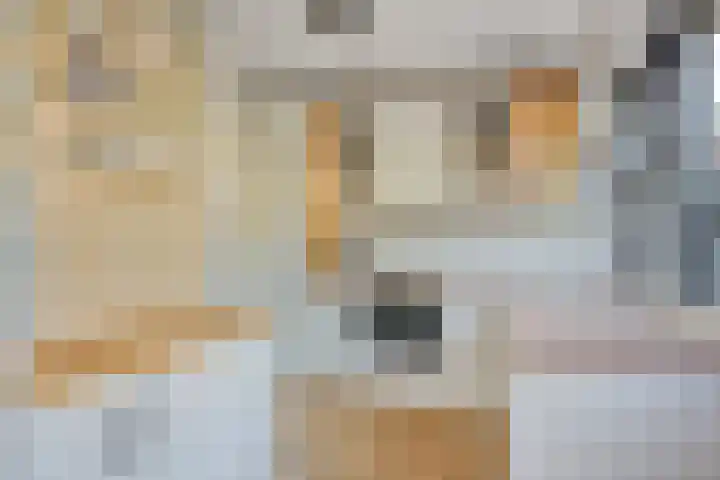 Salvialaan 46 Oegstgeest thumbnail 12