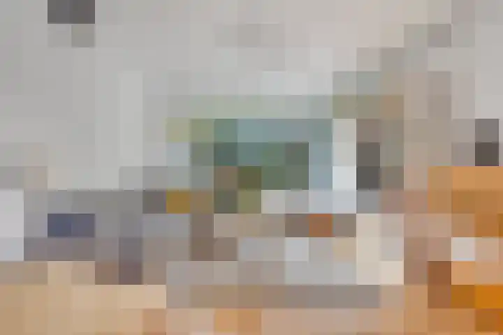 Salvialaan 46 Oegstgeest thumbnail 16