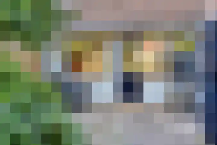 Salvialaan 46 Oegstgeest thumbnail 20