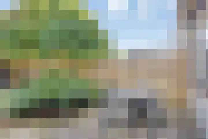 Salvialaan 46 Oegstgeest thumbnail 21