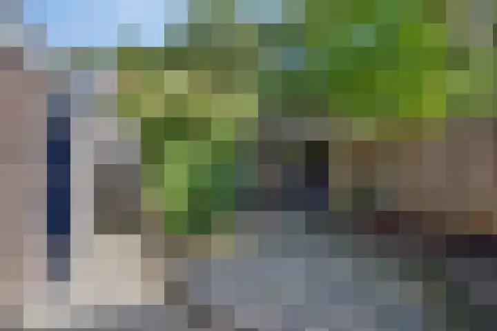 Salvialaan 46 Oegstgeest thumbnail 23
