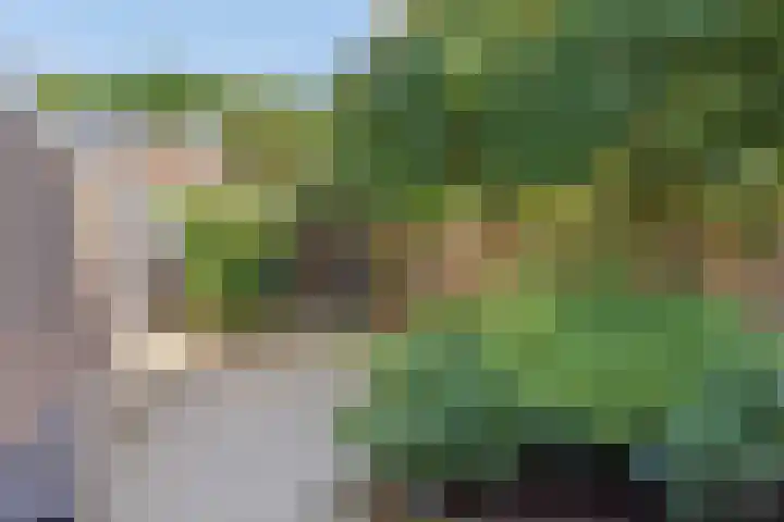 Salvialaan 46 Oegstgeest thumbnail 24