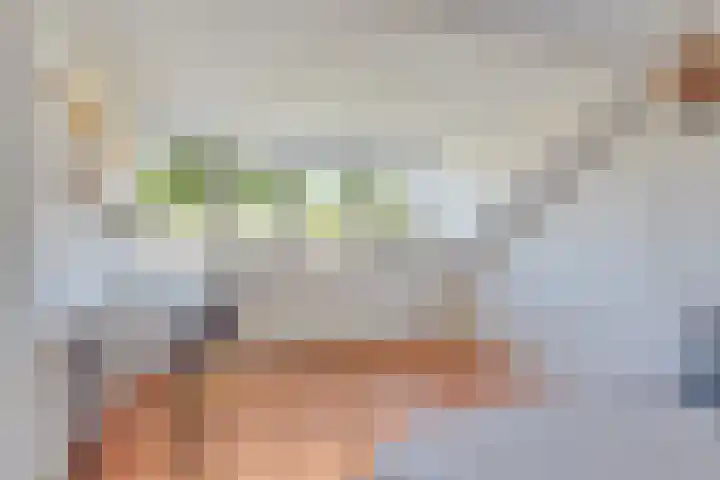Salvialaan 46 Oegstgeest thumbnail 34
