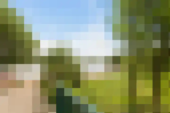 Salvialaan 46 Oegstgeest thumbnail 36