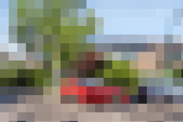 Salvialaan 46 Oegstgeest thumbnail 4