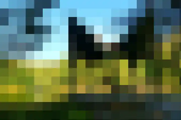 Salvialaan 46 Oegstgeest thumbnail 44