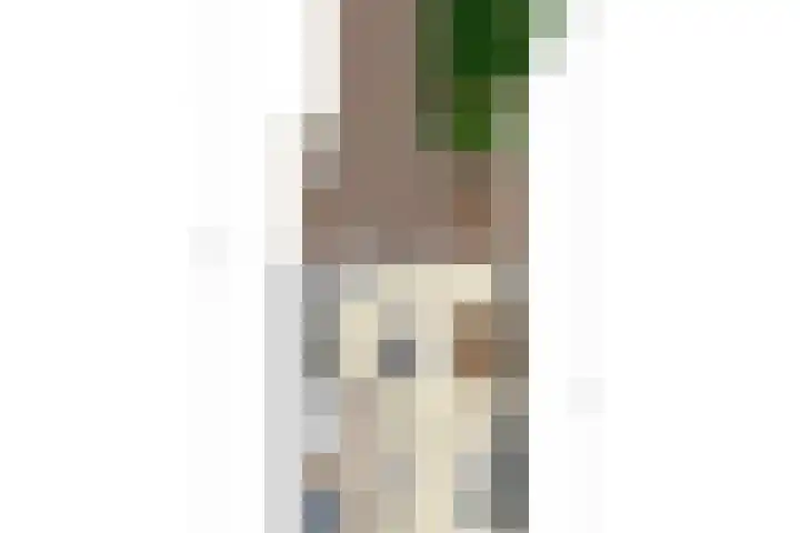 Salvialaan 46 Oegstgeest thumbnail 46