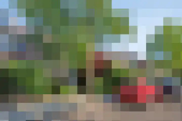 Salvialaan 46 Oegstgeest thumbnail 52