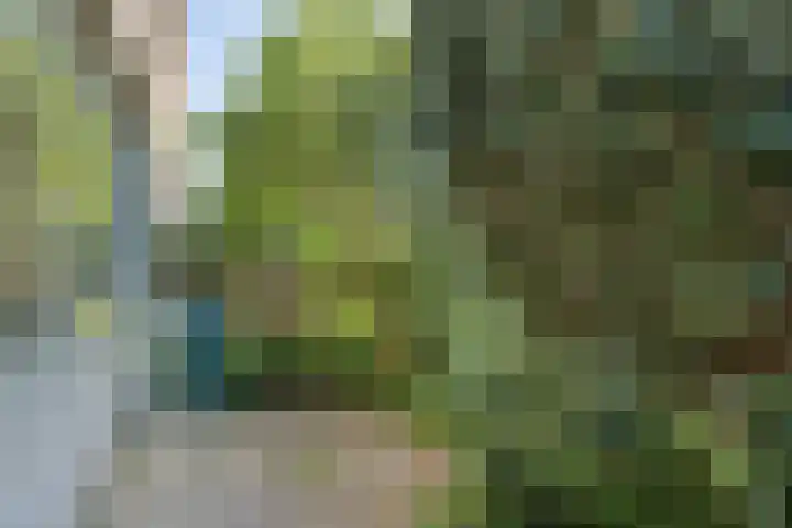 Salvialaan 46 Oegstgeest thumbnail 6