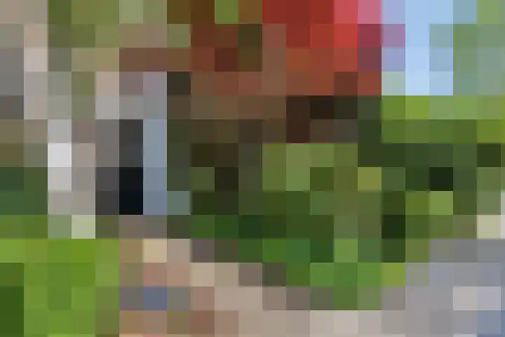 Salvialaan 46 Oegstgeest thumbnail 7