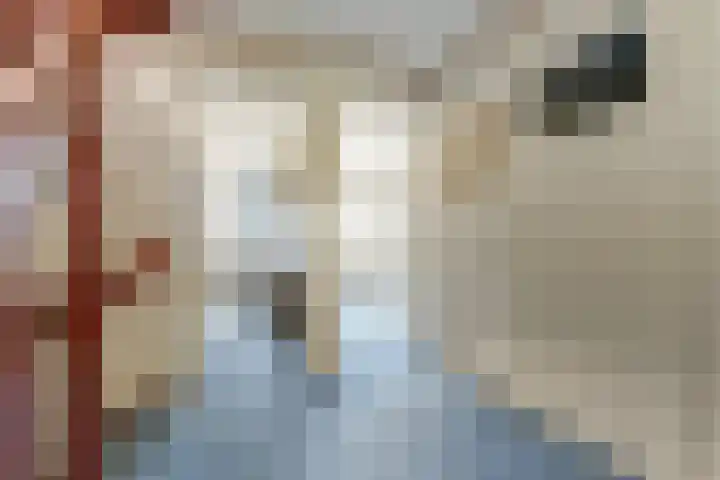 Salvialaan 53 Oegstgeest thumbnail 24
