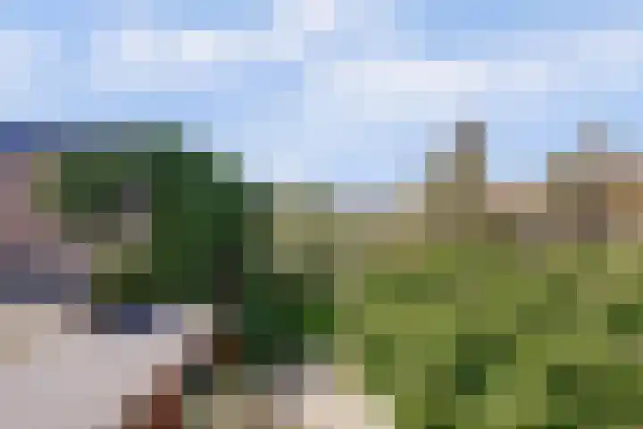 Salvialaan 53 Oegstgeest thumbnail 31
