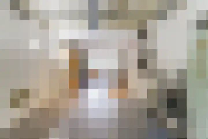 Salvialaan 53 Oegstgeest thumbnail 47
