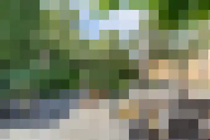 Salvialaan 53 Oegstgeest thumbnail 50